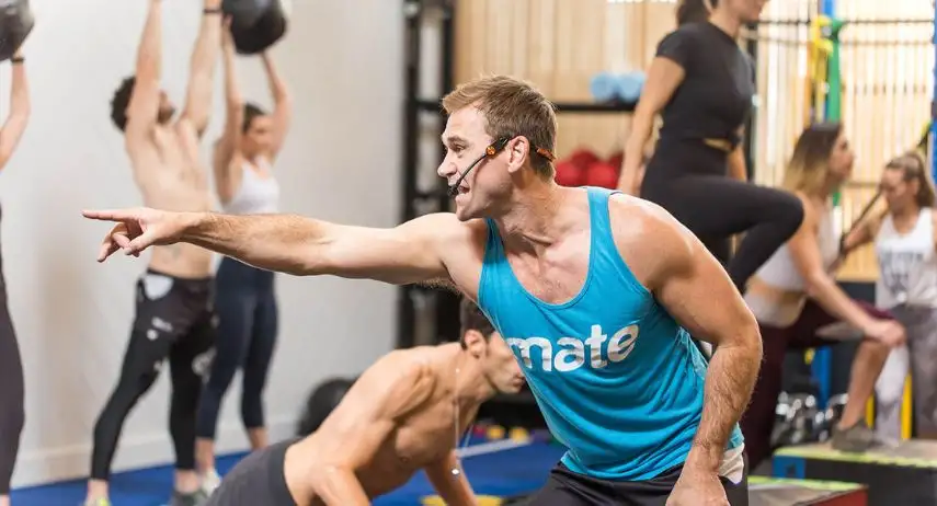 Training Mate Franchise For Sale image 2