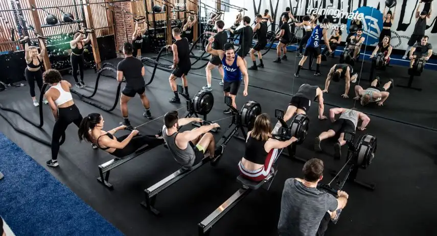 Training Mate Franchise For Sale image 3