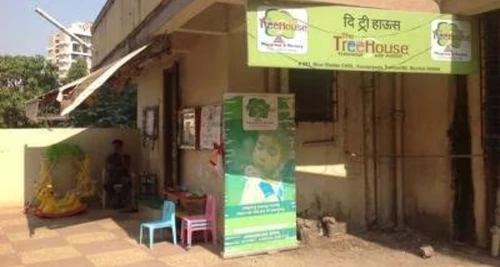 Tree House Franchise Cost, Fees, Opportunity