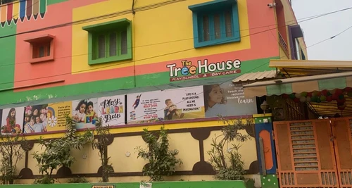 Tree House Franchise Cost, Fees, Opportunity
