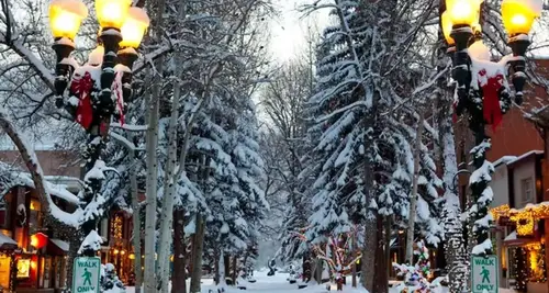 Trimmers Holiday Decor Franchise For Sale image 2