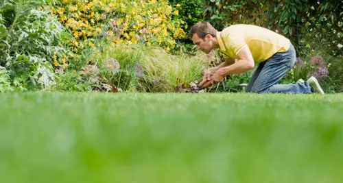 TruGreen Franchise Cost, Fees, ROI & Opportunity image 4