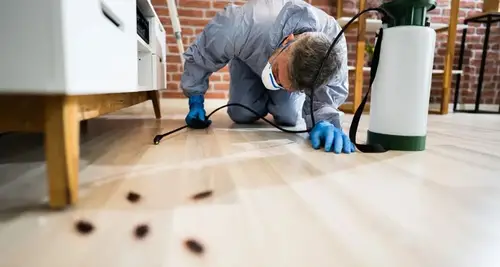 Truly Nolen Franchise Cost, Fees, Opportunity