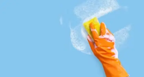 T.T. Cleaning Franchise Cost & Fees Opportunities