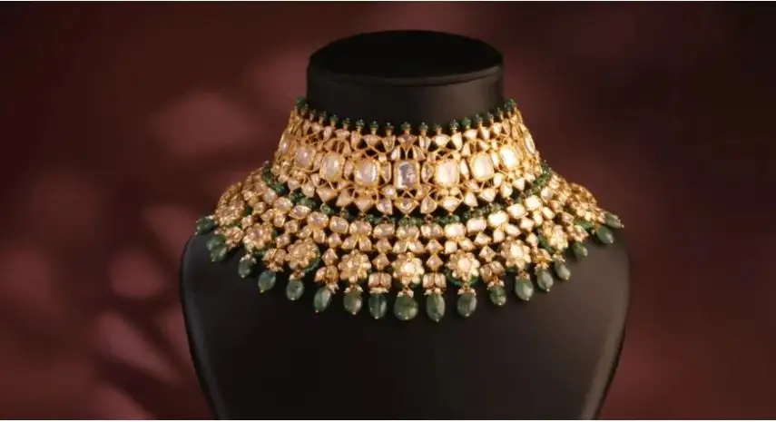 Tyaani India Franchise For Sale image 2