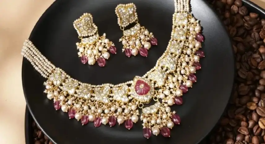 Tyaani India Franchise For Sale