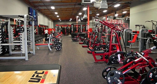 UFC Gym Franchise Cost, Fees, Opportunities