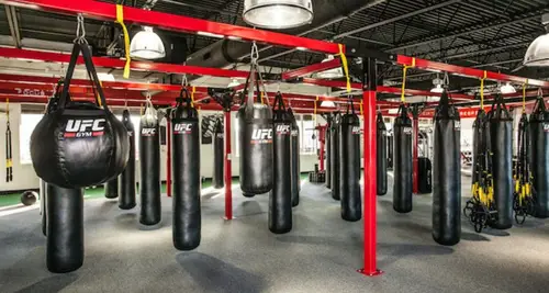 UFC Gym Franchise Cost, Fees, ROI & Opportunity image 2
