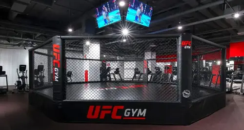 UFC Gym Franchise Cost, Fees, ROI & Opportunity image 3