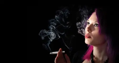 USA Mobile Drug Testing Franchise For Sale image 2