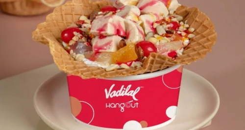 Vadilal Ice Cream Franchise For Sale