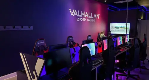 Valhallan Franchise Cost, Fees, ROI & Opportunity