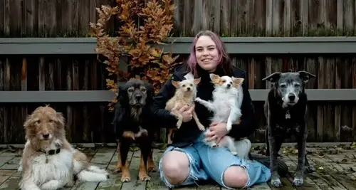 Vanity Fur Franchise Cost, Fees, Opportunity