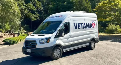 Vetama Franchise Cost, Fees, ROI & Opportunity image 2