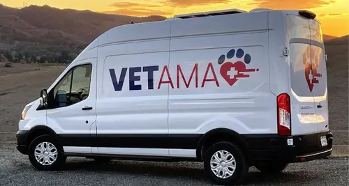 Vetama Franchise Cost, Fees, ROI & Opportunity image 4