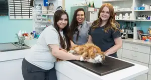 VetCheck Franchise Cost, Fees, ROI & Opportunity