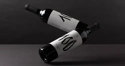 VINO 100 Franchise Cost, Fees, ROI & Opportunity