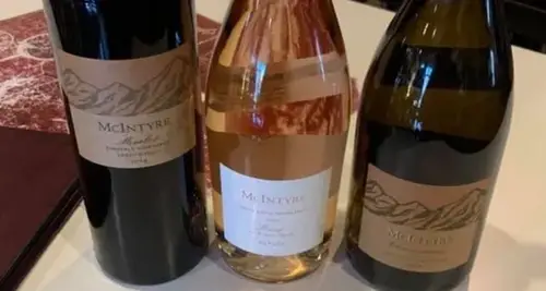 VINO 100 Franchise Cost, Fees, ROI & Opportunity image 4