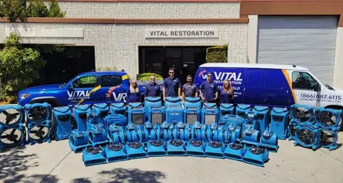 Vital Restoration Franchise Cost, Fees, Opportunity