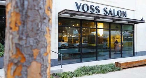 Voss Salon Franchise Cost, Fees, Opportunity