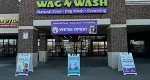 Wag N' Wash Franchise Cost, Fees, Opportunity