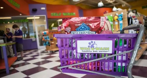 Wag N' Wash Franchise Cost, Fees, Opportunity