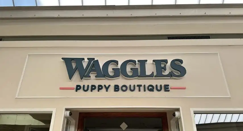 Waggles Puppy Boutique Franchise Opportunity