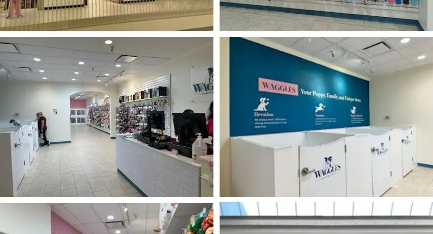 Waggles Puppy Boutique Franchise Opportunity
