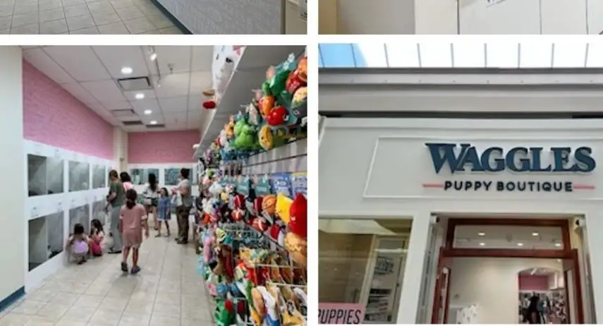 Waggles Puppy Boutique Franchise Opportunity