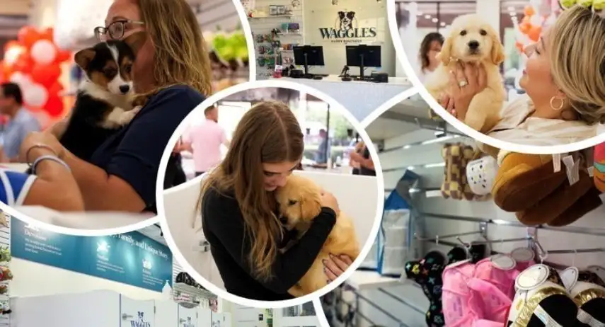 Waggles Puppy Boutique Franchise Opportunity