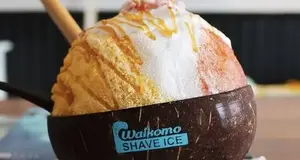 Waikomo Shave Ice Franchise Cost, Fees, Opportunity