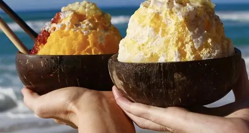 Waikomo Shave Ice Franchise Cost, Fees, Opportunity