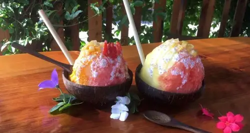 Waikomo Shave Ice Franchise Cost, Fees, Opportunity image 3
