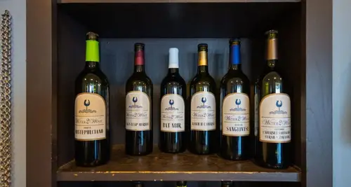 Water 2 Wine Franchise Cost, Fees, Opportunity