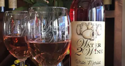 Water 2 Wine Franchise Cost, Fees, Opportunity image 4