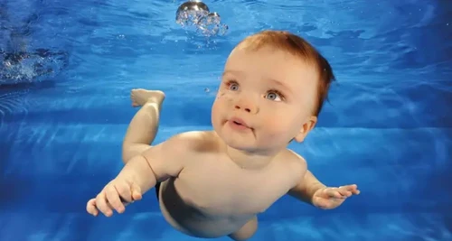 Water Babies Franchise Cost, Fees, Opportunities