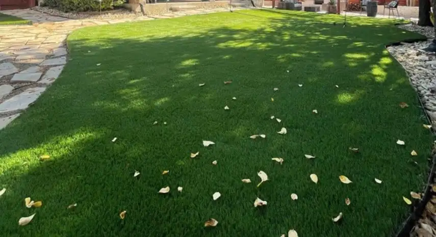 Waterloo Turf Franchise Opportunity