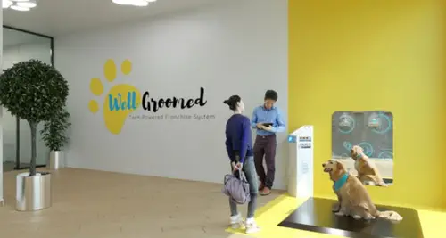 Well Groomed Pets Franchise Cost, Fees & Opportunities