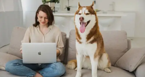 Well Groomed Pets Franchise Cost, Fees & Opportunities image 2