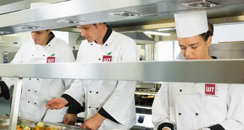 Wholesome Tummies Cost, Fees & Opportunities image 3