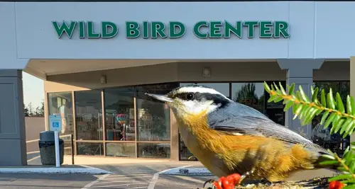 Wild Bird Centers Franchise Cost, Fees & Opportunity image 4