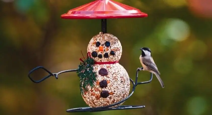 Wild Birds Unlimited Franchise – USA image 3