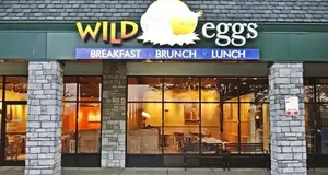 Wild Eggs Franchise Cost, Fees, Opportunity