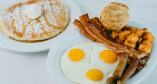 Wild Eggs Franchise Cost, Fees, Opportunity image 4