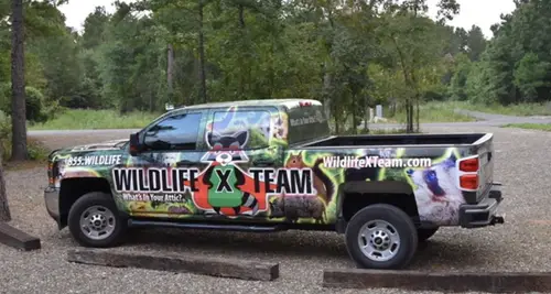 Wildlife X Team Franchise Cost, Fees & Opportunities image 3