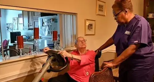 Wisdom Senior Care Franchise Cost, Fees & Opportunity