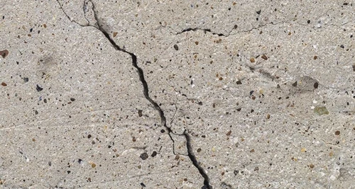 Wise Cracks Franchise Cost, Fees, Opportunities