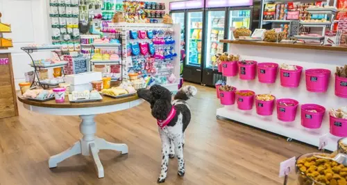 Woof Gang Bakery & Grooming Franchise For Sale image 4