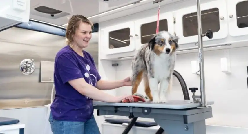 Woofie's Pet Ventures Franchise Opportunity