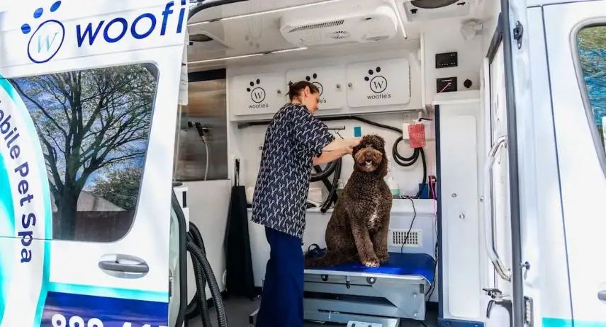 Woofie's Pet Ventures Franchise Opportunity image 3